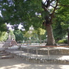 公園の景色。