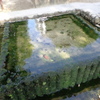 湧水公園の湧水。