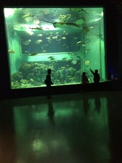 水族館にて