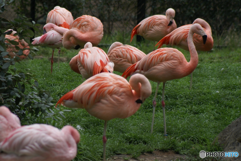 千葉市動物公園にて