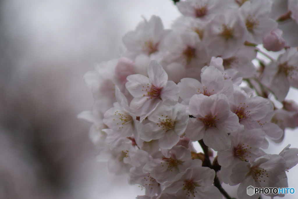 千葉公園にて