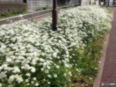 ソフト仕上げ