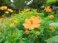千葉公園にて