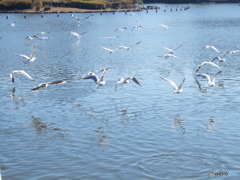 千葉公園にて