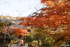 定義の秋
