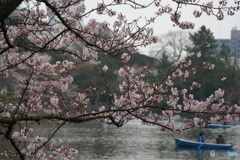 千葉公園にて