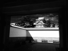忍者でも出そう