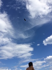 トンビと若者