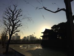 明けていく平成２８年