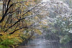 晩秋の雪化粧_3727T