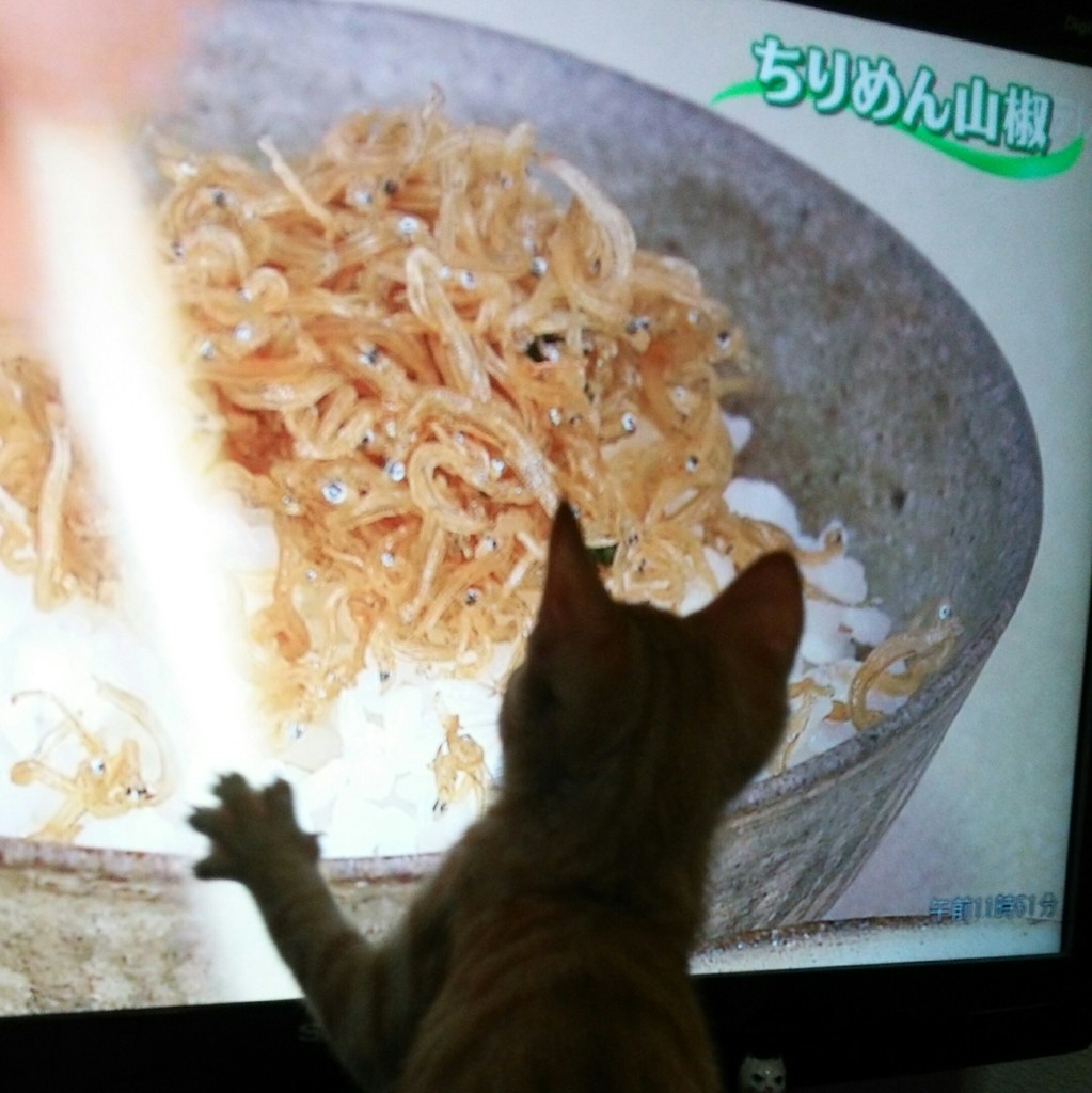 ３分クッキングとニコ