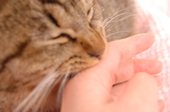 いてて