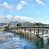 渡月橋