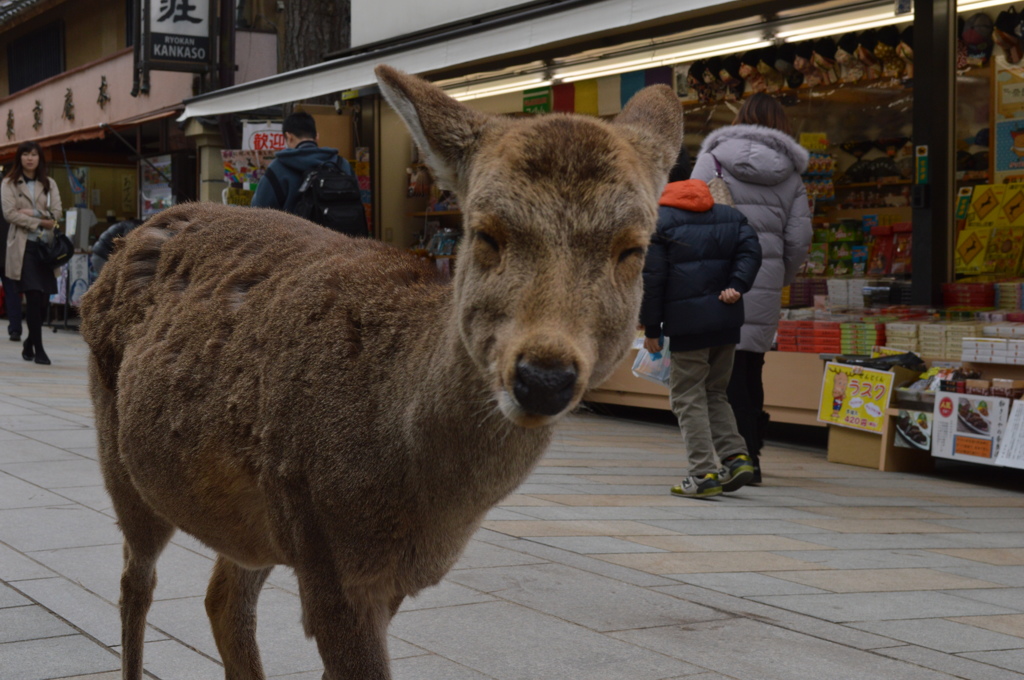 はい、横通りますよ