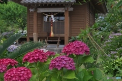 雨乞い 