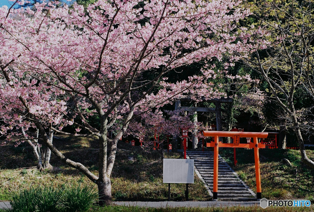 色づく聖地