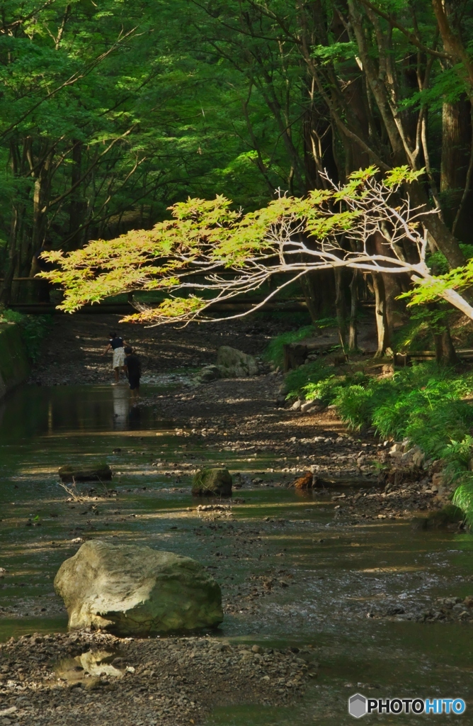 川遊び