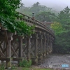 架け橋
