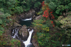年末の紅白戦