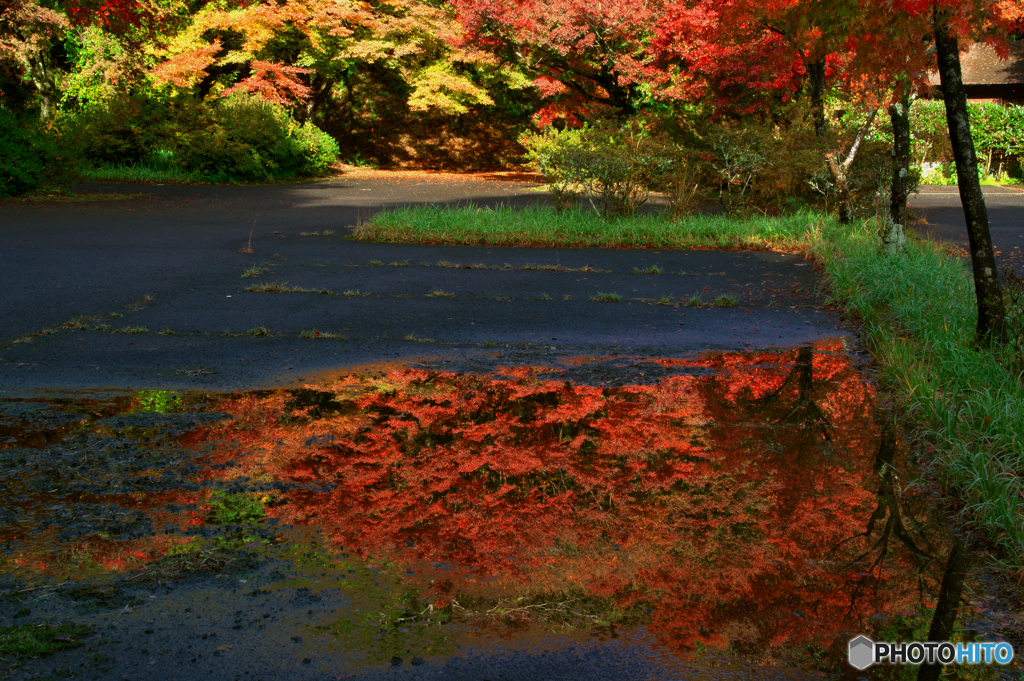 紅い路面