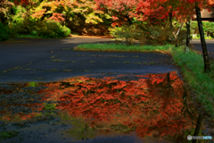 紅い路面