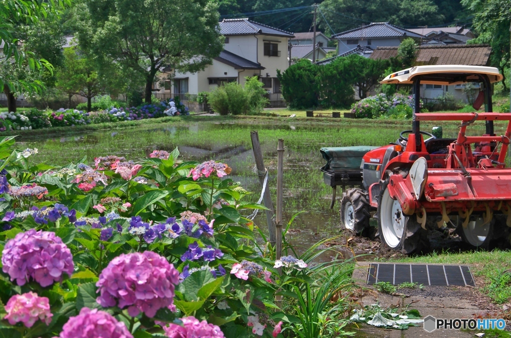 田起こしの頃