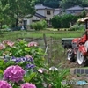 田起こしの頃