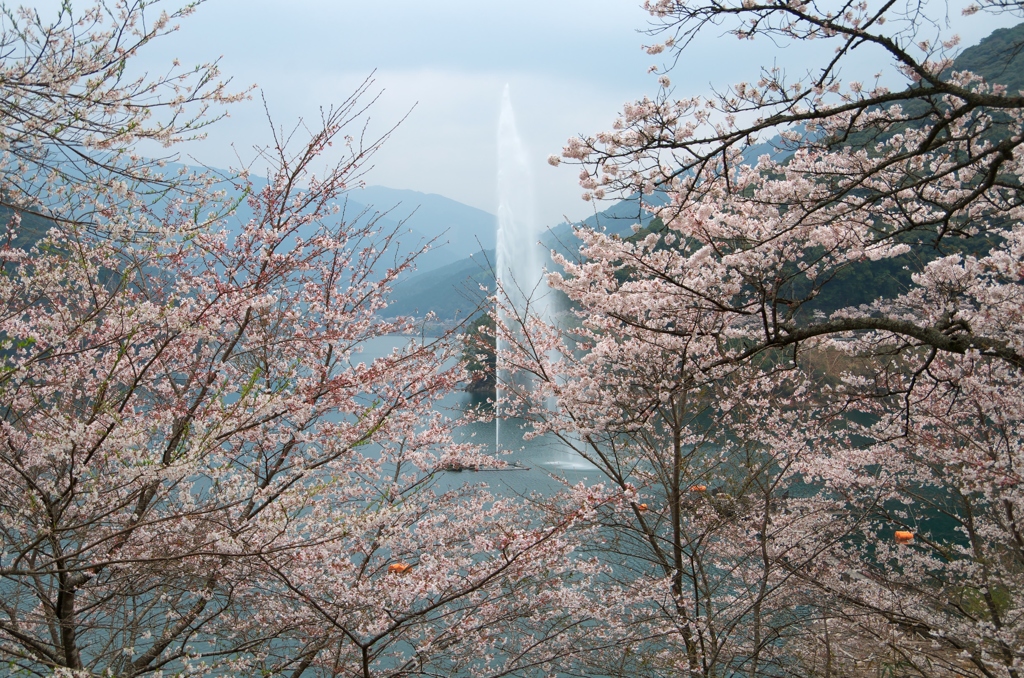 市房湖大噴水