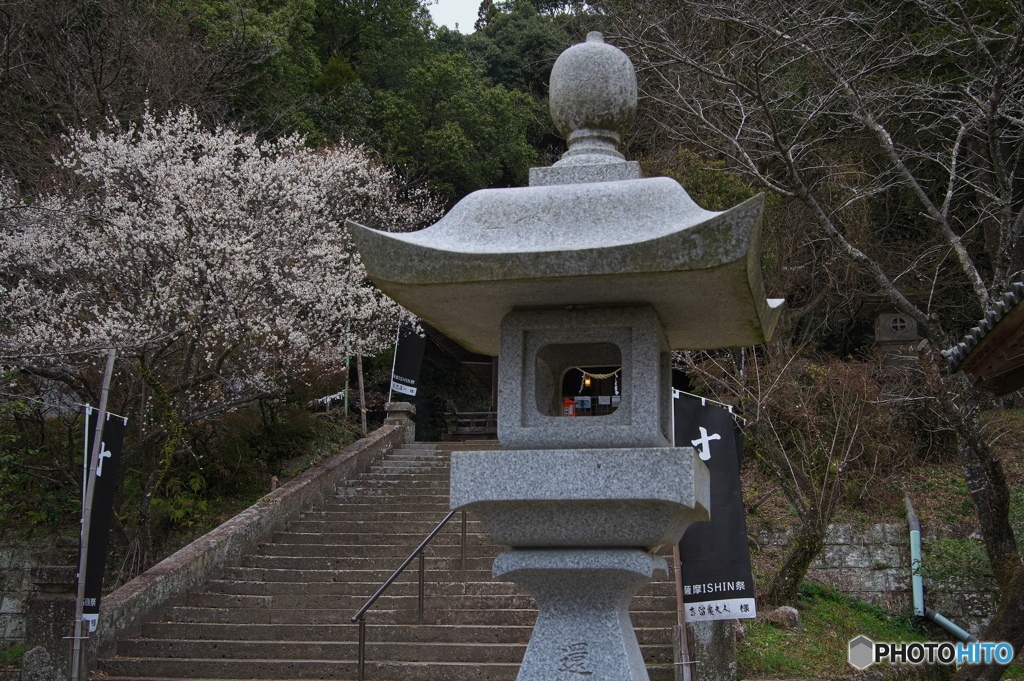 社殿の灯り