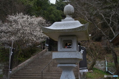 社殿の灯り