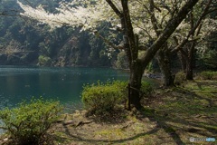 御池の平穏