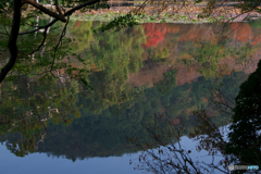 秋めく衣笠山