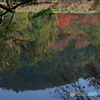 秋めく衣笠山