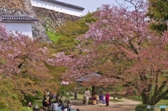 和みの春