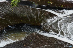 流水の羽ばたき