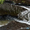 流水の羽ばたき