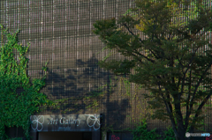 蔦アート