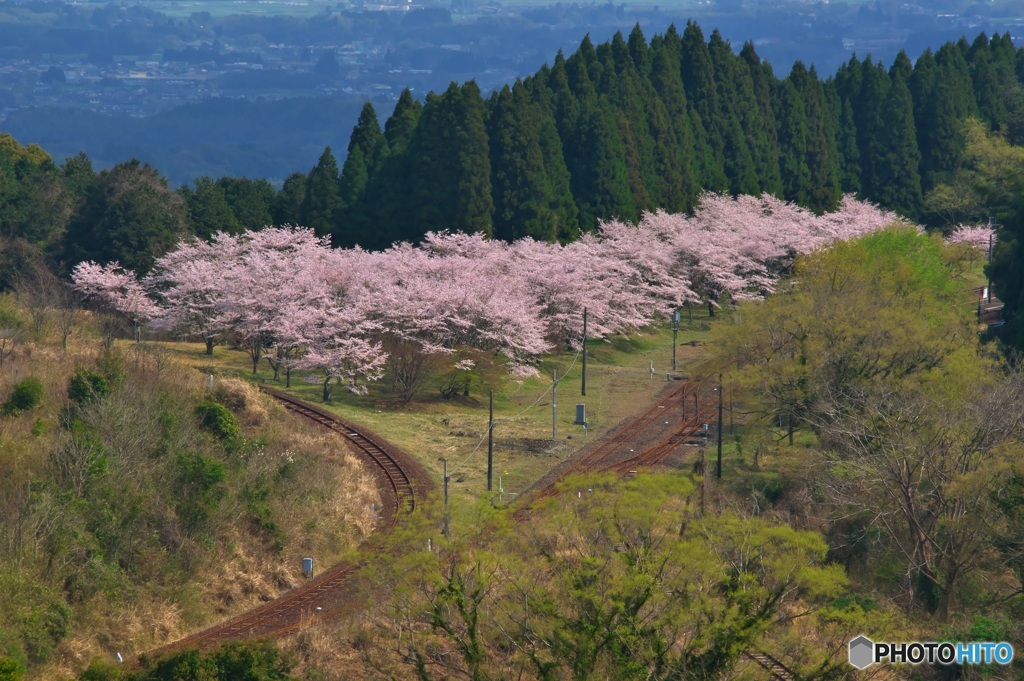 錆びる鉄道