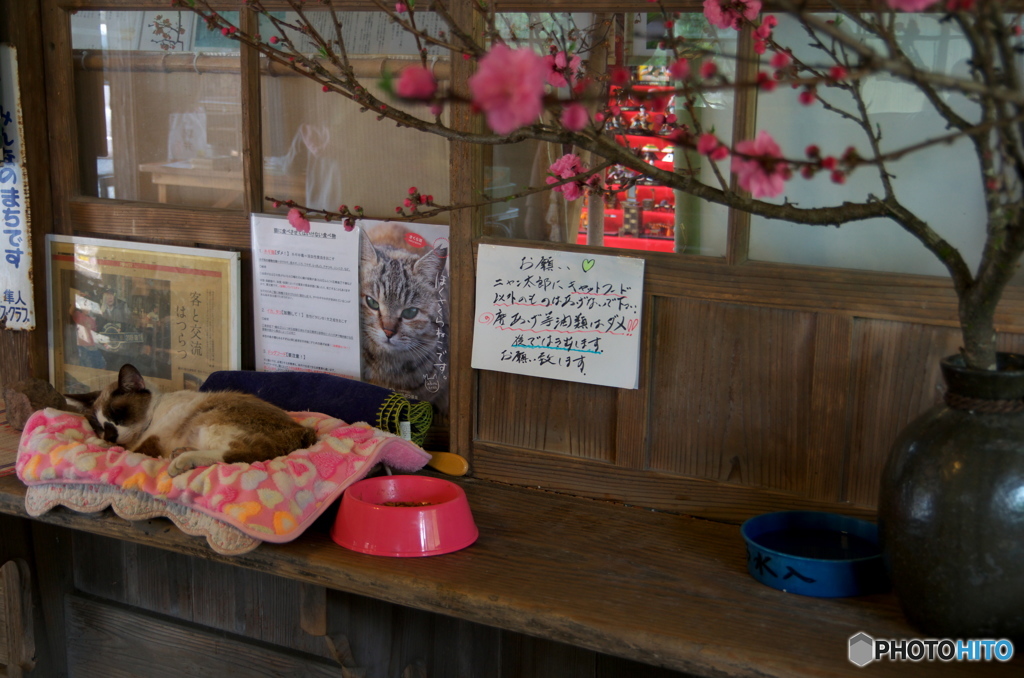 おこさないで