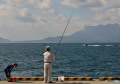 釣れた？
