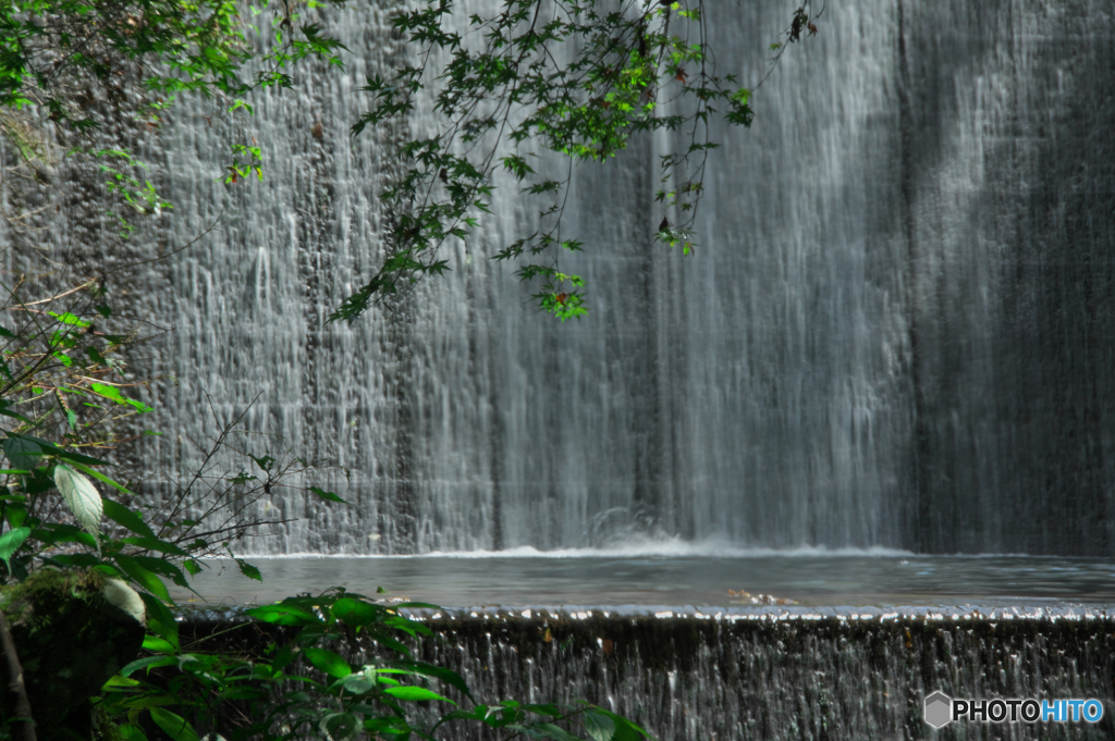 青楓と水カーテン By 中太郎 Id 写真共有サイト Photohito