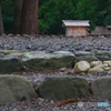 正宮古殿地参拝