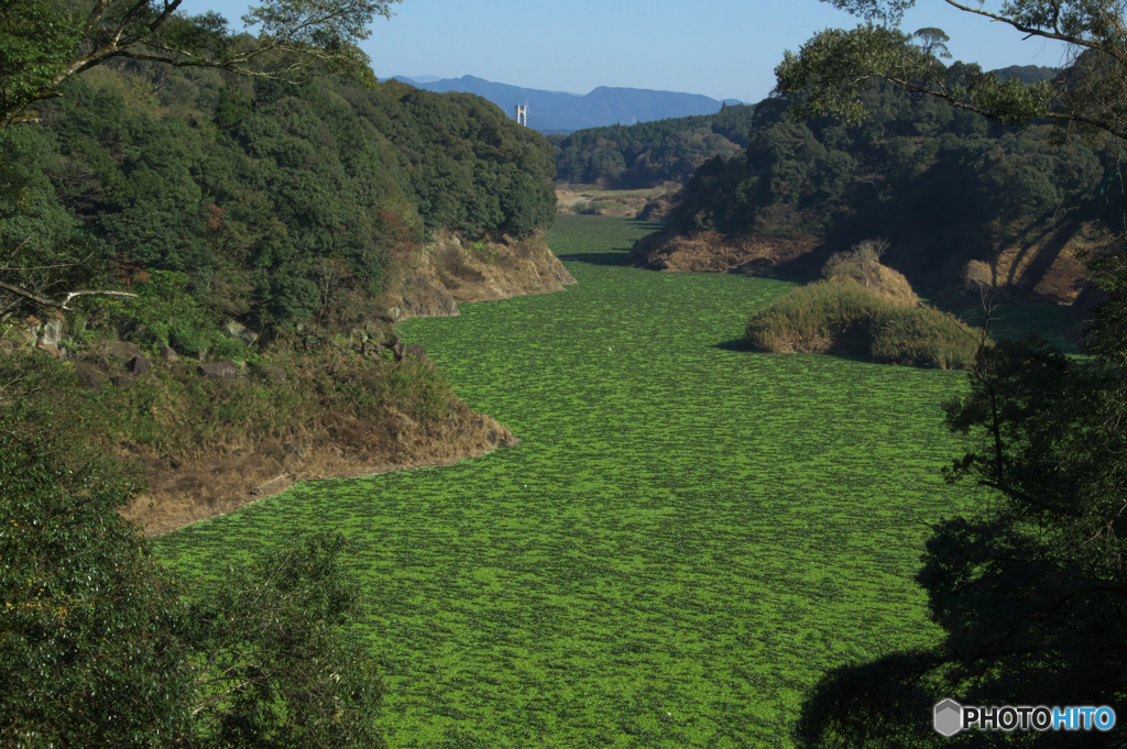 緑の川