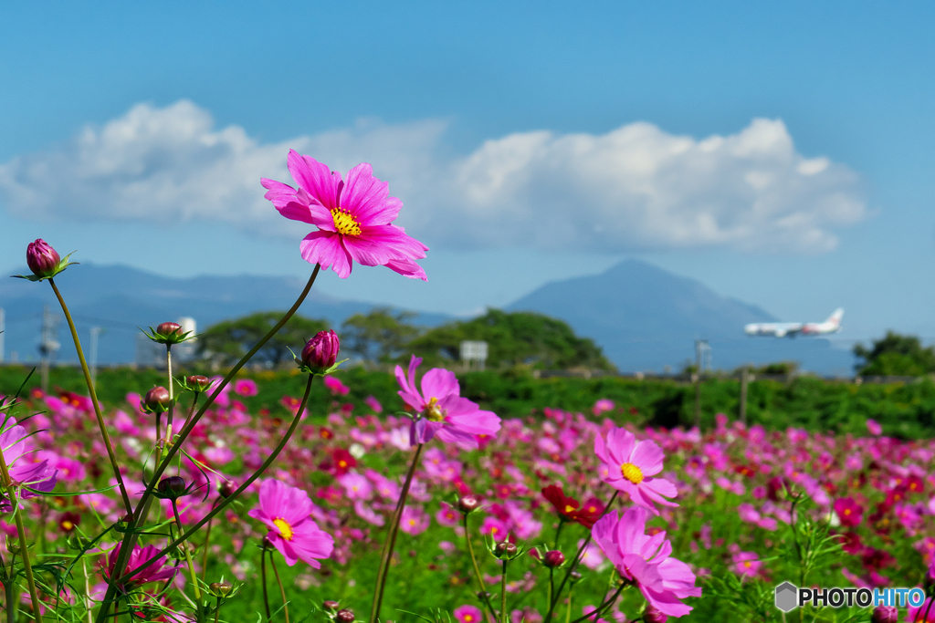 汗ばむ秋空