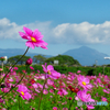 汗ばむ秋空