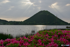 風温む朝
