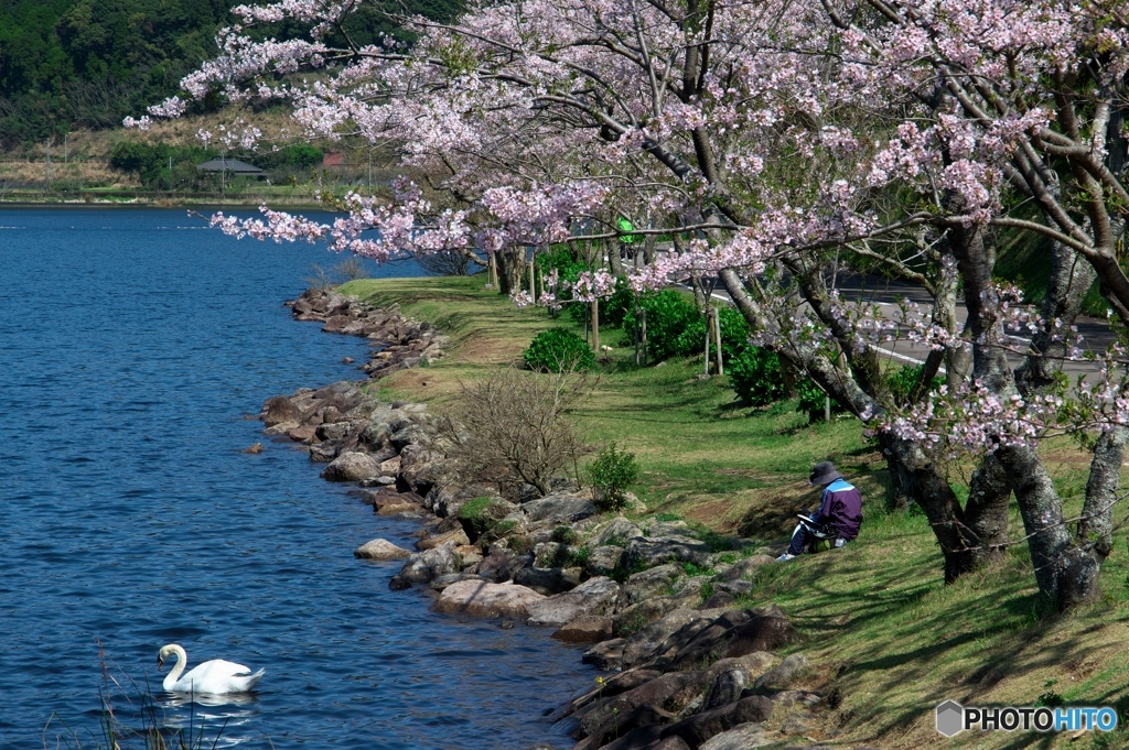 道楽日和