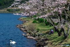 道楽日和