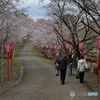 S路の先には？