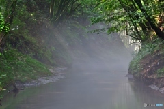 夏の川霧